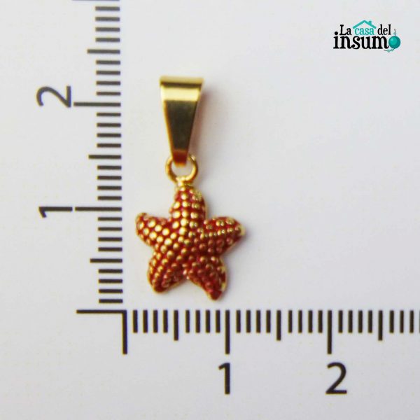 DIJE ESTRELLA DE MAR CON BARNIZ ROJO